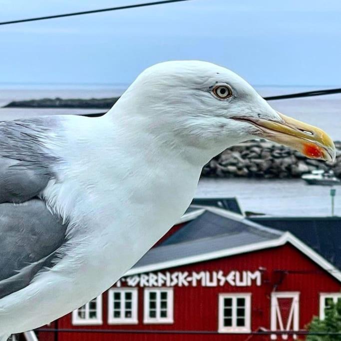 A, The Far End Of Lofoten, Top Apartment. Sørvågen 外观 照片